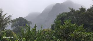 Trang An Green Bungalow & Restaurant - 7