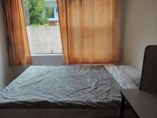 Holiday House in Central North Shore Auckland - Auckland - 1