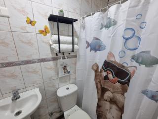 El Chalet del Gato, apartamento 2 - Viña del Mar - 9