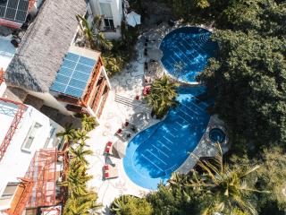 Pájaro de Fuego 406 - 9