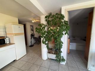 Rez de villa de 45 m2 Afa calme et fleuri - 5