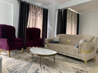 Grey Nest Grey point 303 - 0