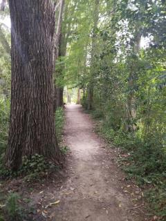 La Segunda milla - 7