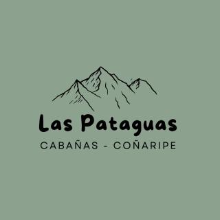Cabaña Las Patagüas - Coñaripe - 9