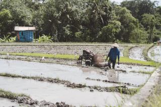 Stylish 3BR Wood Villa, Pool, Epic Ricefield View - 5