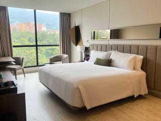 York Medellin, Curio Collection by Hilton - 9