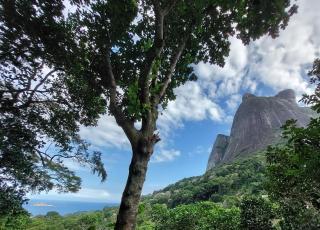 Pedra Bonita Flats - 5