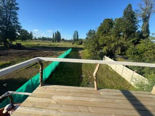 Cabaña Pinos Magicos - 3