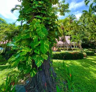 Casa Descanso del Pescador - 4