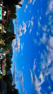 The jungle view guest house - 3