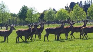 Beacon Hill Estate's Country Farmstay - 1