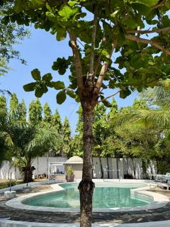 Pendo Villa Malindi - 8