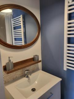 Studette indépendante et coquette avec terrasse sur jardin - 9