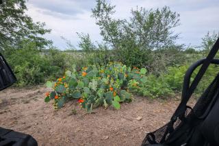Cherry Creek Cottages Peaceful Farm Stay Pets Welcome - 4