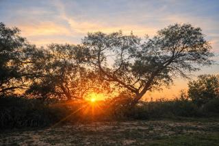 Cherry Creek Cottages Peaceful Farm Stay Pets Welcome - 2