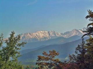 TatryTop Apartamenty Comfort - Zakopane - 9