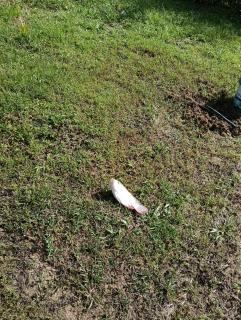 Baitunassalam Babagon - 3