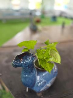 Flo Element Room by Hexa Stays - 5