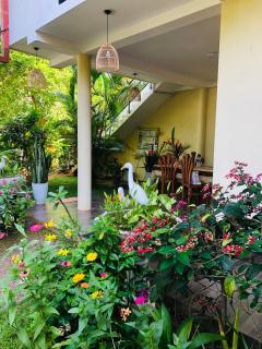 Garden View Mirissa - 8