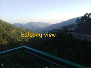 Hotel Pine View Villa - 3