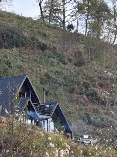 SilenT Hill Cottage - 7