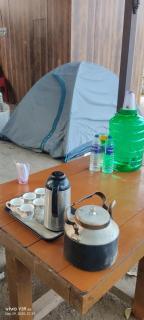 Wild Ni8 Club -  - 5