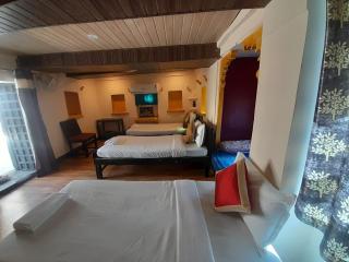 Veda Heritage Haveli - 6