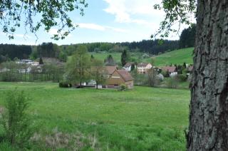 Ferienwohnungen Zur Mühle - Mossautal - 3