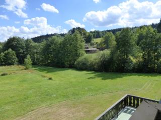Ferienwohnungen Zur Mühle - Mossautal - 2
