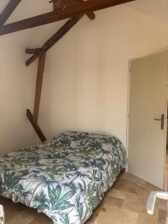 Location l'îlot tropical - 7