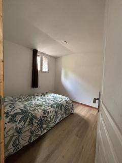 Location l'îlot tropical - 6