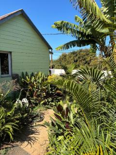 Location l'îlot tropical - 4