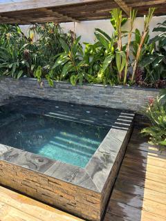 Location l'îlot tropical - 0