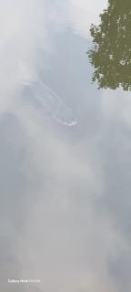 Trang An Green Bungalow & Restaurant - 9