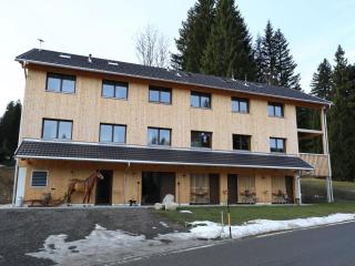 Holiday apartment in Bregenzerwald - 0