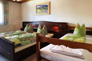 Rauchenbacher Apartments, Mittersill - 4