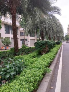 Btt95 Himlam Vạn Phúc Hà Đông Hà Nội - 1