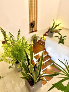 Neem Aura Home Stay - 1