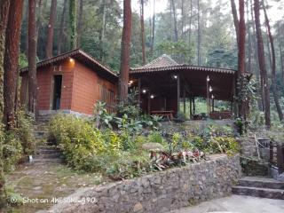 The Nest Park - Prigen - 1