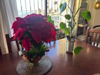 Espejo del Tiétar - 6