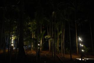 The Pitruchhaya Beach Resort - 6