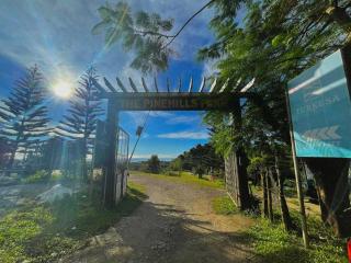 The PineHill Farm - 7