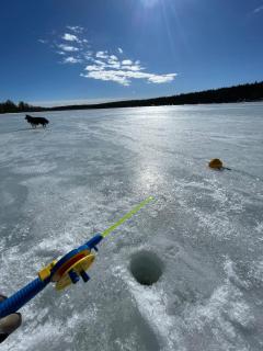 Kuonti-Ruka, kelohirsimökki järven rannalla - 8