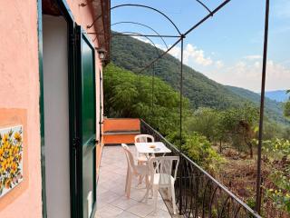 Country House With Big Garden - 7