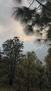 The Gypsy Soul Mukteshwar - 3