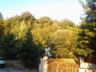Bed and breakfast Al posto bello - Perugia - 2