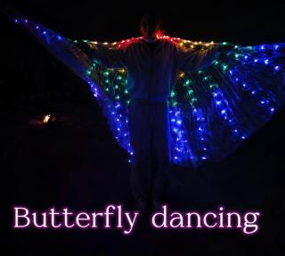 Hamood Desert Private Camp - 9