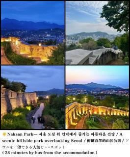 서울 종로 밤비 라 벨르 - 4