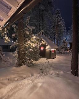 Sappee Peak Cabin - Fire, Snow & Adventure - 9