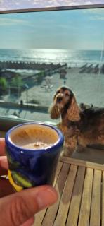 Sea View Mamaia Nord - 1